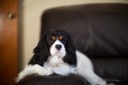 New Canon 50mm f1_0 samples-12