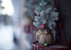 Canon 50mm 1L Samples