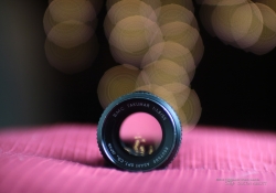 Crop Aperture Series-2