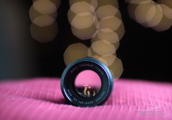 Crop Aperture Series-4