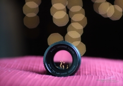 Crop Aperture Series-5
