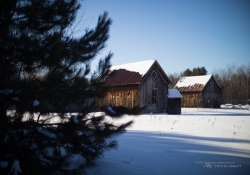 New Canon 50mm f1_0 samples-7