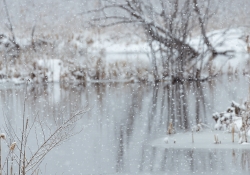 As the Snow Falls