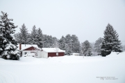 Another Snowstorm-3
