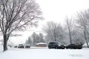 Another Snowstorm-5
