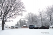 Another Snowstorm-5