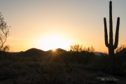 Desert Sunrise