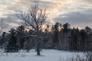 First 18-150 Samples-3