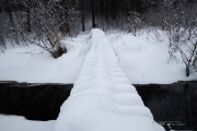 Winter Hike Photos-14