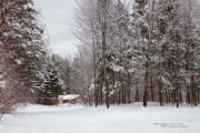Winter Hike Photos-17