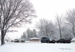 Another Snowstorm-5