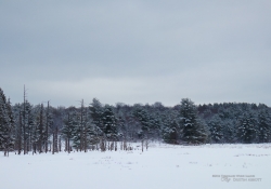 Winter Hike Photos-10