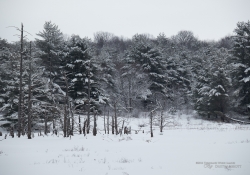 Winter Hike Photos-11