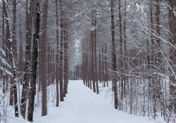 Winter Hike Photos-12