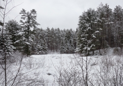 Winter Hike Photos-16