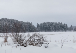 Winter Hike Photos-3