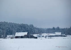 Winter Hike Photos-5