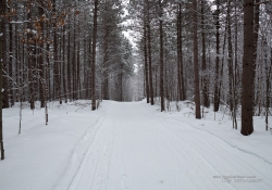 Winter Hike Photos-6