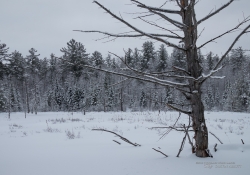 Winter Hike Photos-9