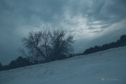 Winter Landscapes-2