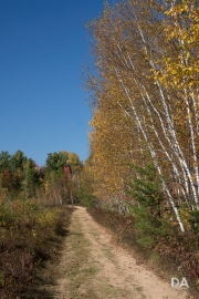 Tamron 45-7