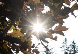 Flare-2