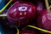 Cherries-9