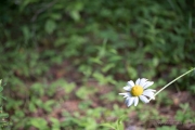 Hiking Samples-13