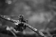 Hiking Samples-15