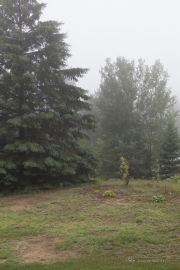 Raindrops Keep Falling-10