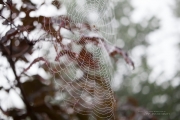 Raindrops Keep Falling-13