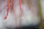 Raindrops Keep Falling-8