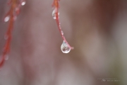 Raindrops Keep Falling-9