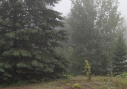 Raindrops Keep Falling-10