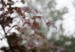 Raindrops Keep Falling-13