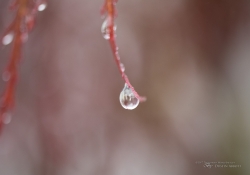 Raindrops Keep Falling-9
