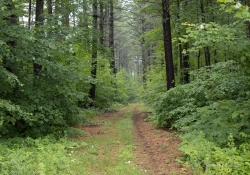 The Hike-10