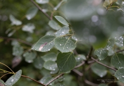 The Hike-11