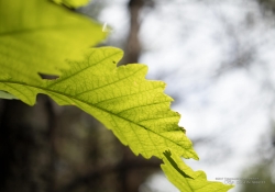 The Hike-14
