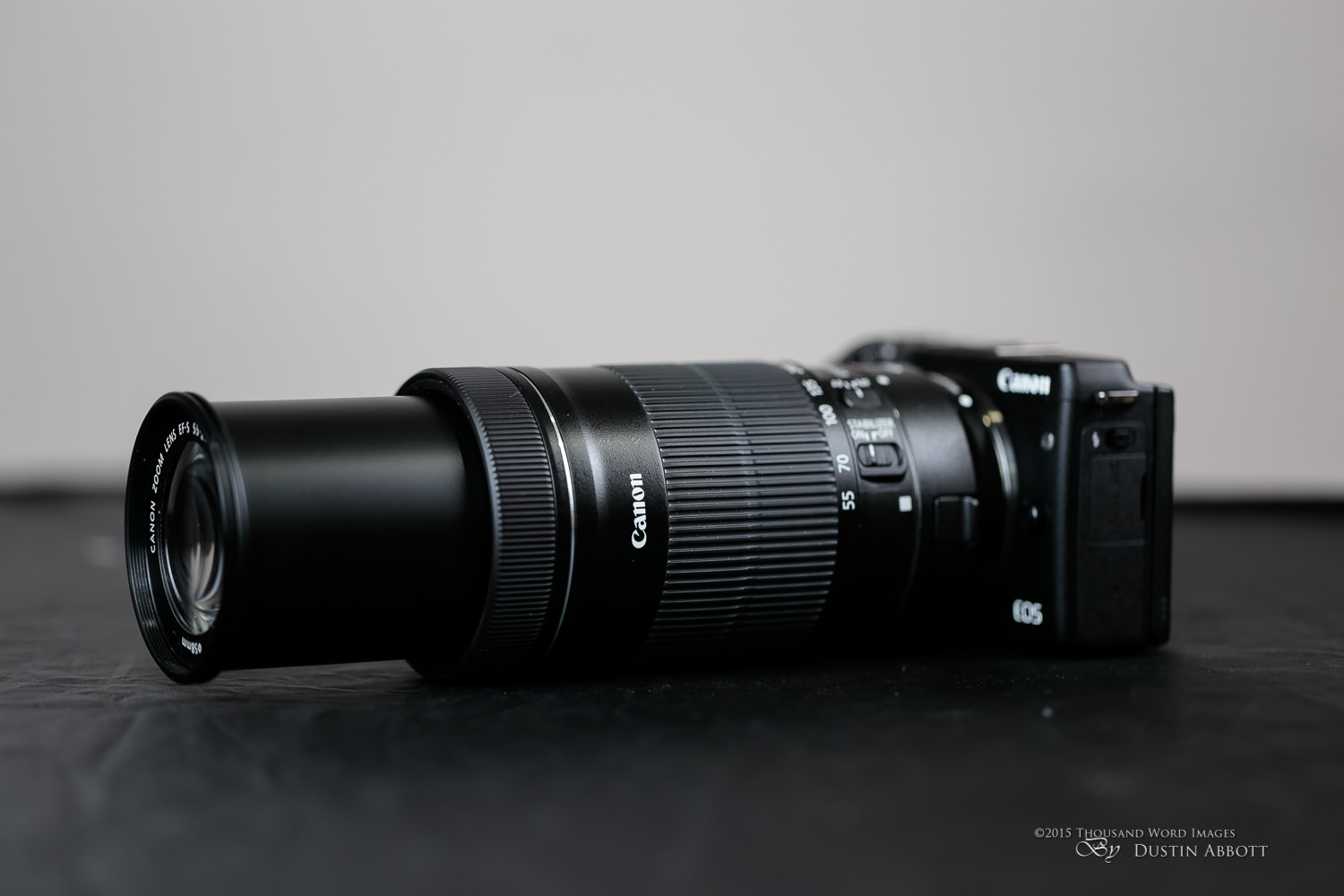 カメラ レンズ(ズーム) Canon EF-S 55-250mm f/4-5.6 IS STM Review - DustinAbbott.net