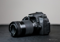 Canon EF-S 55-250mm f/4-5.6 IS STM Review - DustinAbbott.net