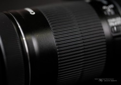 Product Shots-5