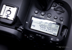 Canon EOS 6D Mark II-21