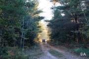 Morning Walk-11