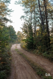 Morning Walk-18