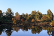 Morning Walk-20