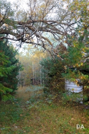 Morning Walk-7