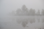 Foggy Morning Shots-2