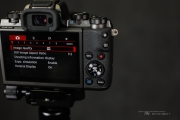 EOS M5 Samples-7