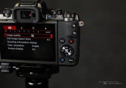 EOS M5 Samples-7